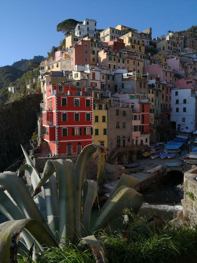 Il Giardino Di Riomaggiore Suite Exteriér fotografie