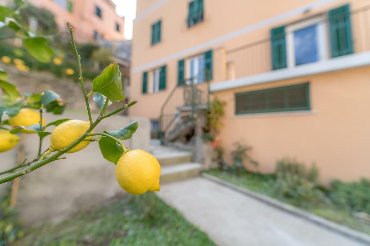 Il Giardino Di Riomaggiore Suite Exteriér fotografie